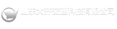 山东大齐汽车有限公司